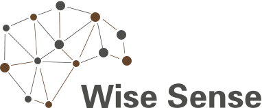 Wise Vision